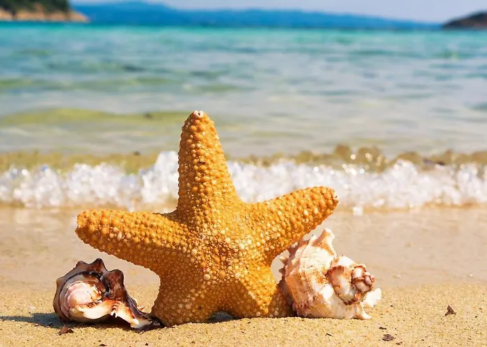 Κάμπινγκ Riorequesa